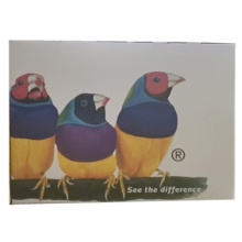 優(yōu)派一體機L24電腦一體機家用辦公臺式主機i5i7網(wǎng)吧游戲8G直面